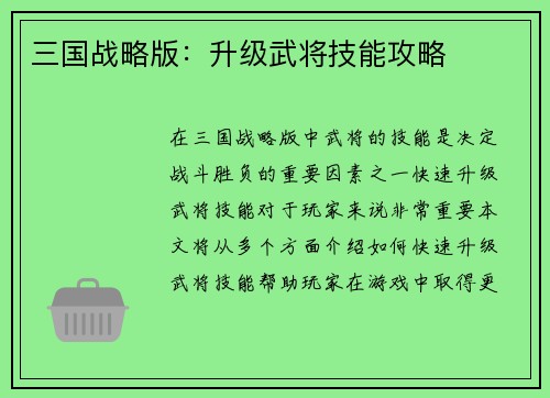 三国战略版：升级武将技能攻略